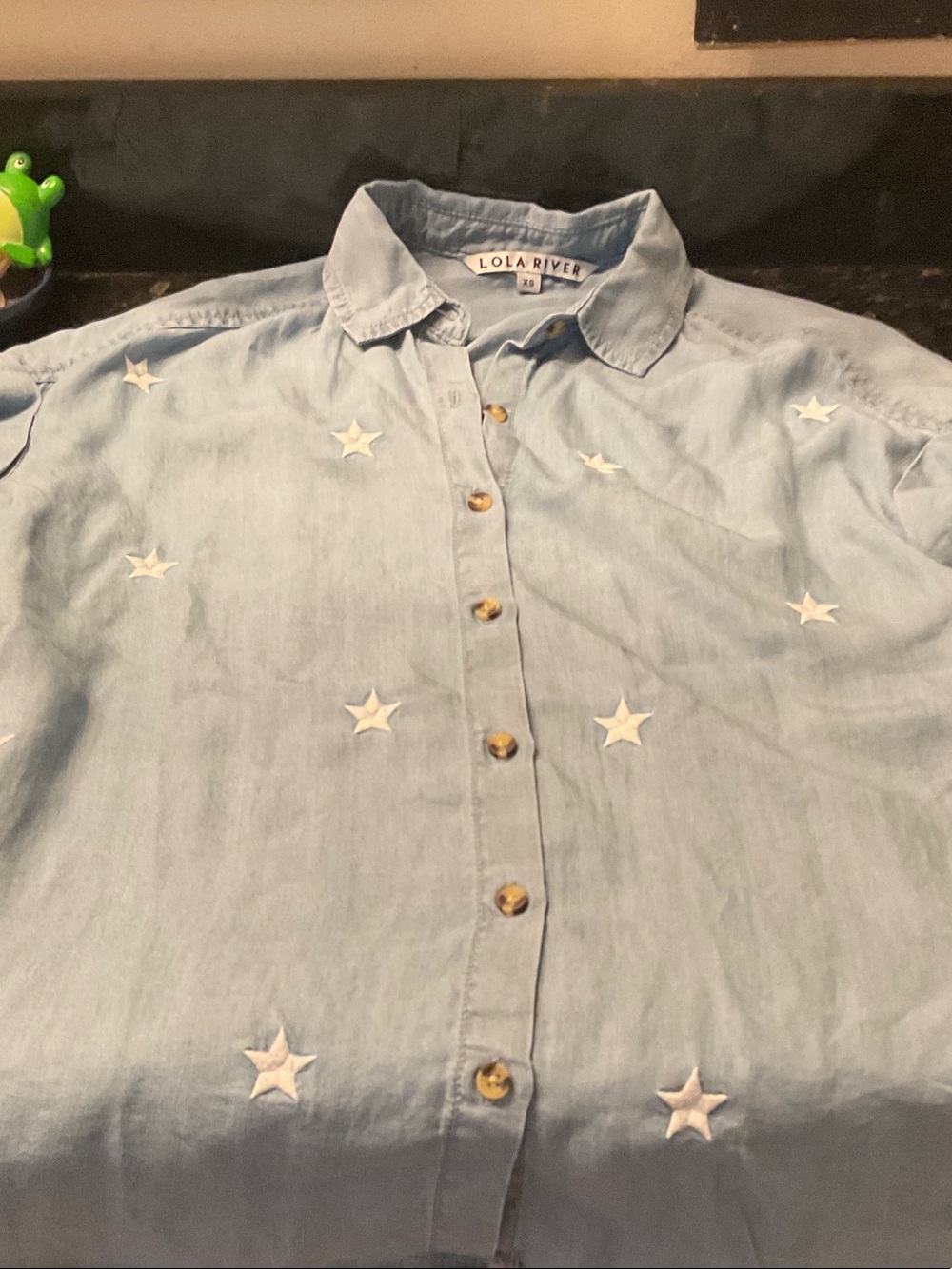 Lola River Light Blue Star-Embroidered Button-Down Shirt